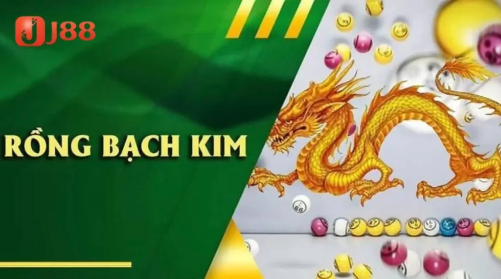 Khám phá soi cầu rồng bạch kim tại J88