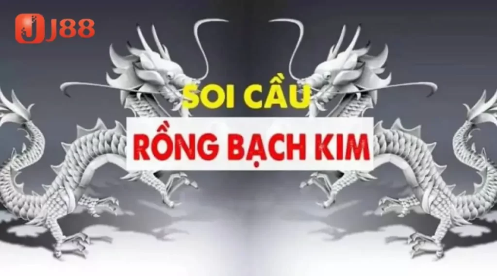 Những ưu điểm nổi bật của Rồng Bạch Kim tại J88